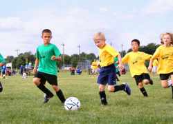 Detskí futbalisti z rôznych tímov - zelené aj žlté dresy