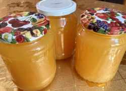 Hotový domáci pomarančovo-mrkvový džús