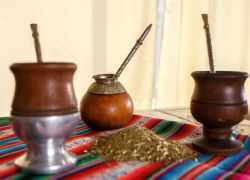 Extrakt zo zeleného čaju a yerba mate