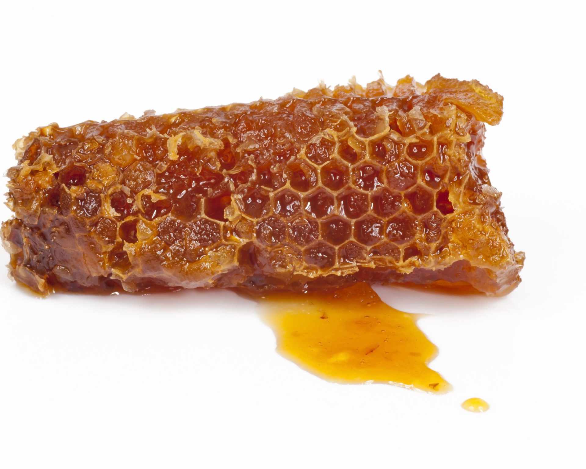 Propolis - produkt včiel