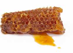 Propolis - produkt včiel