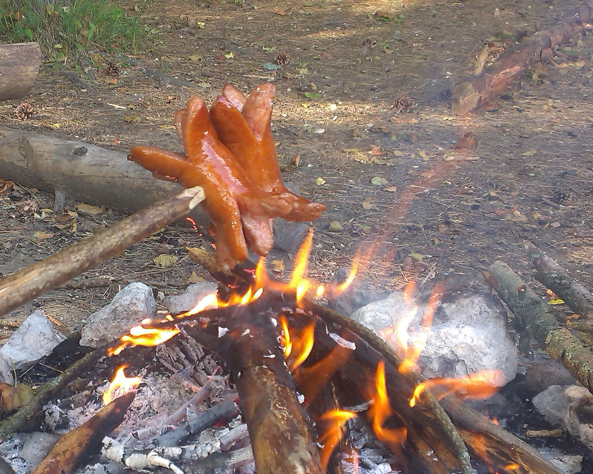 Dva špekáčiky napichnuté na ražni. Opekajú sa v prírode nad malým ohníkom a chytajú tmavú farbu.