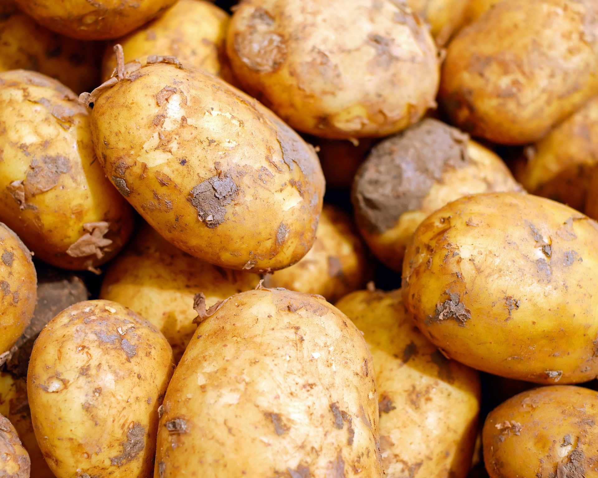 Surové zemiaky