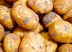 Surové zemiaky