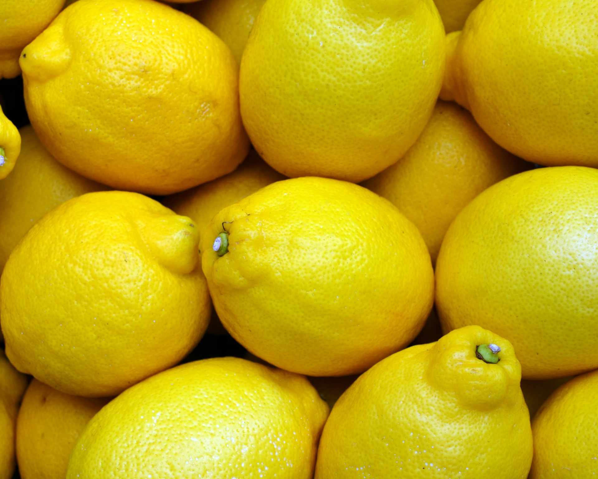 Čerstvé plody citrónov