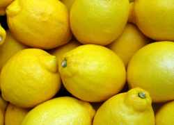 Čerstvé plody citrónov