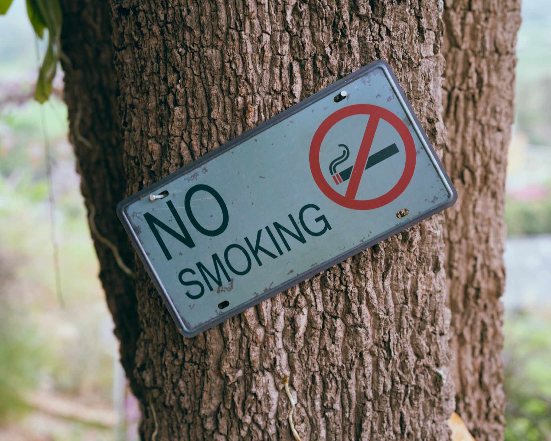 Strom so značkou nefajčiť