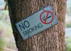 Strom so značkou nefajčiť