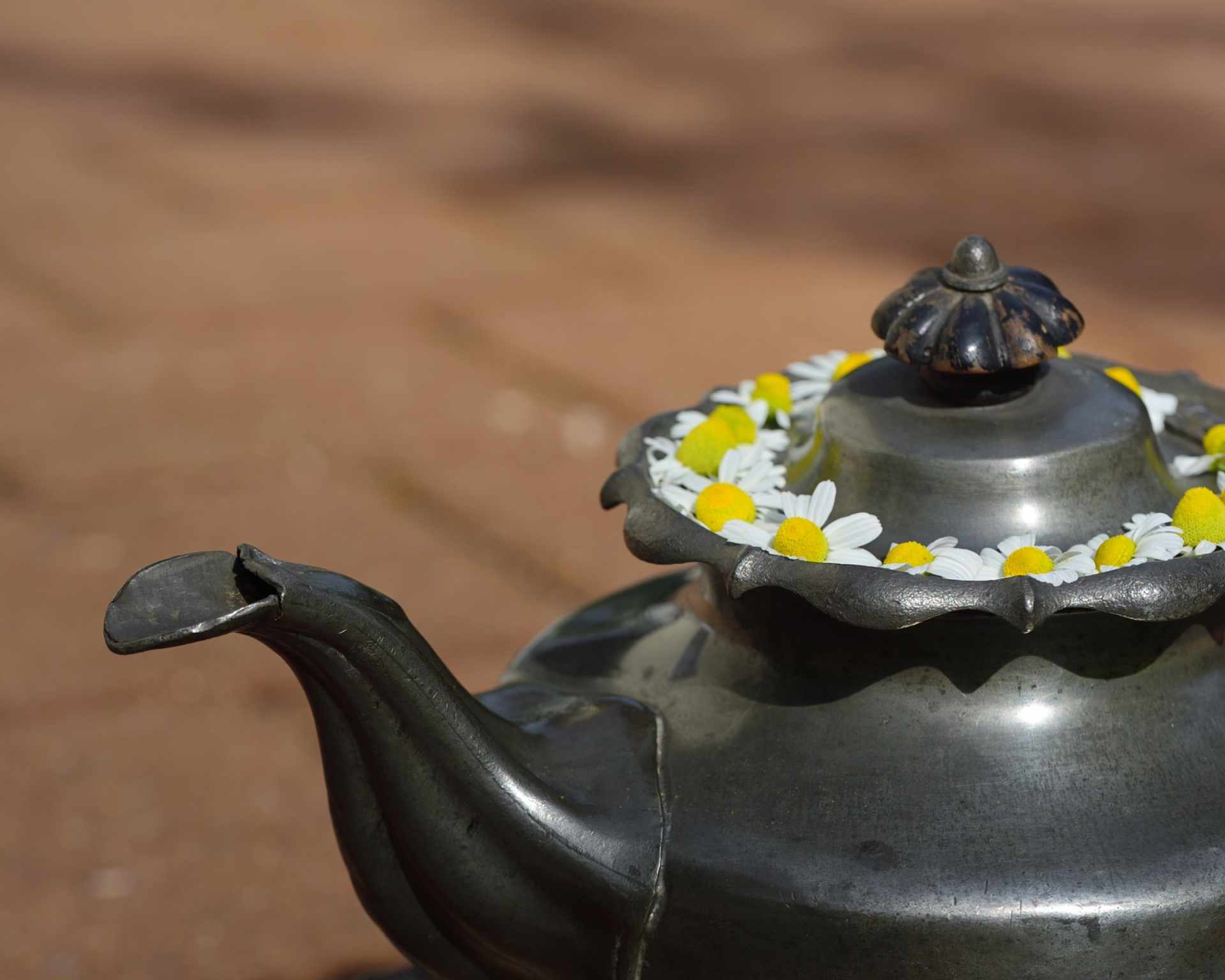 Harmančekové kvety na čajníku