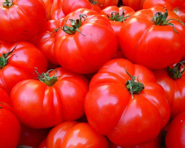 Čerstvé plody paradajok