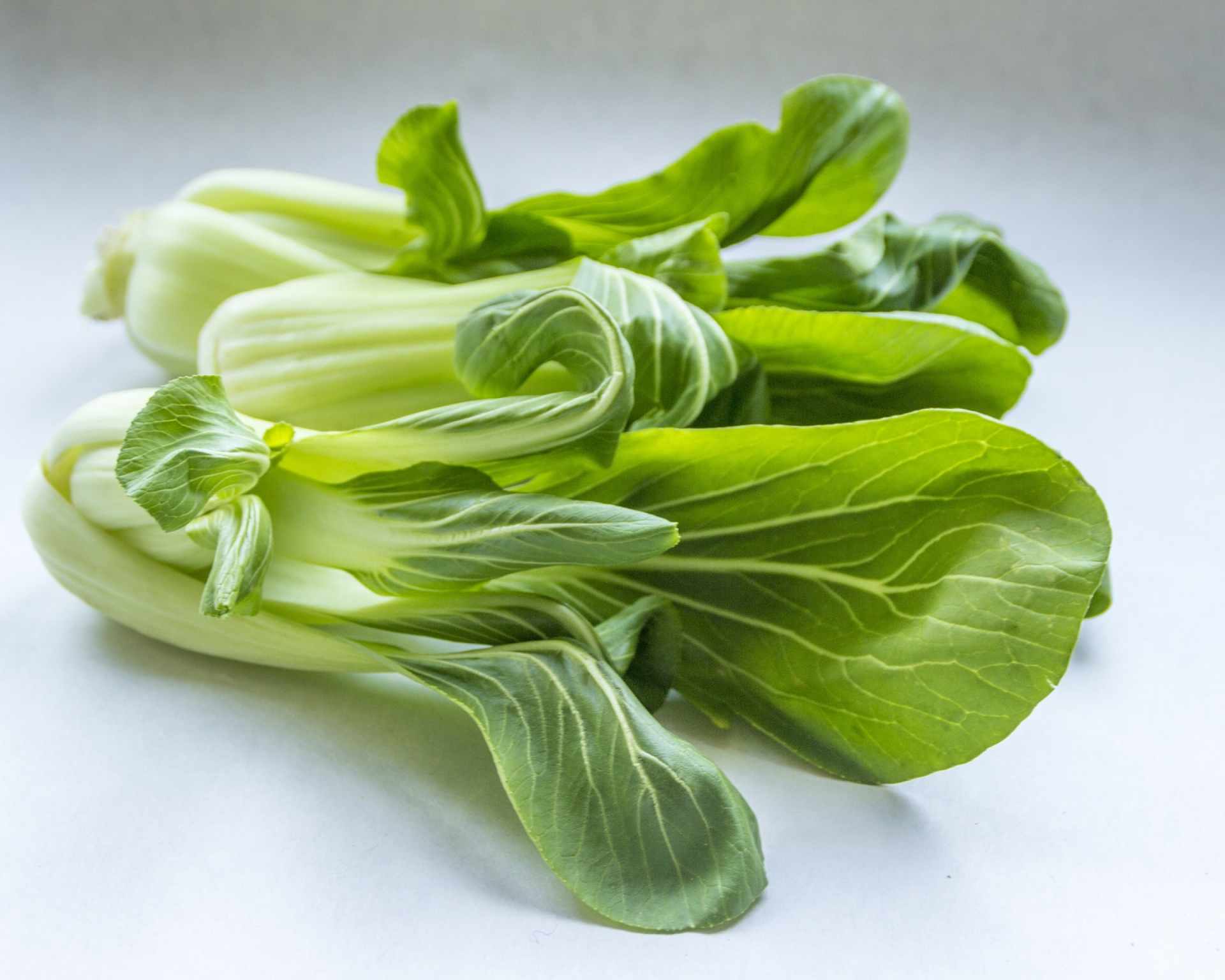 Pak choi