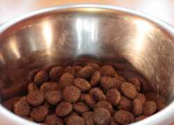 Domáce vyrobené suché granule pre psy alebo mačky.