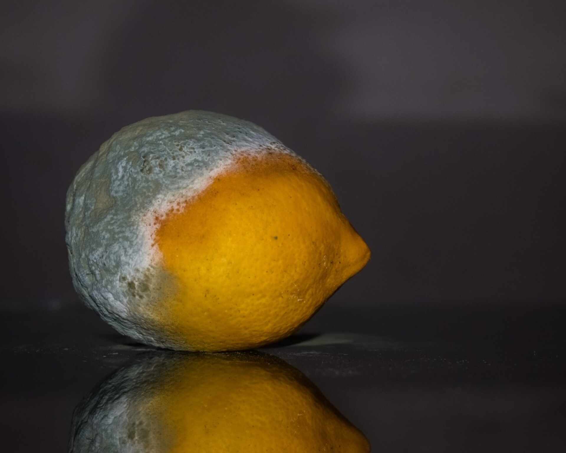 Splesnivený citrón