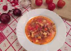 Polievka - guláš hlivovo ustricový s paradajkami, paprikou, mrkvou a petržlenom