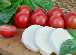 Mozzarella s paradajkami a bazalkou