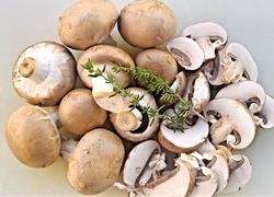 Šampiňón záhradný (Agaricus hortensis)